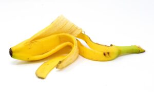 Bucce di banana vicino a rose fiorite, metodo naturale per potenziarne la fioritura.