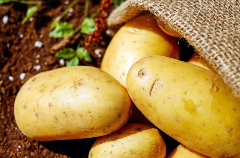 Come coltivare le patate in un sacco: il trucco che sta spopolando