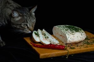 Gatto felice accanto a una ciotola di cibo fatto in casa, ricetta per una dieta sana.