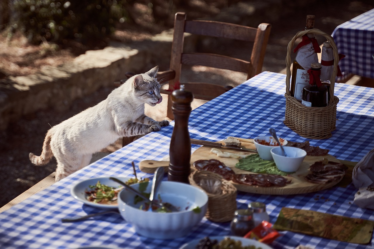Gatto curioso vicino a un piatto di olive, esplorando nuovi sapori e alimenti.
