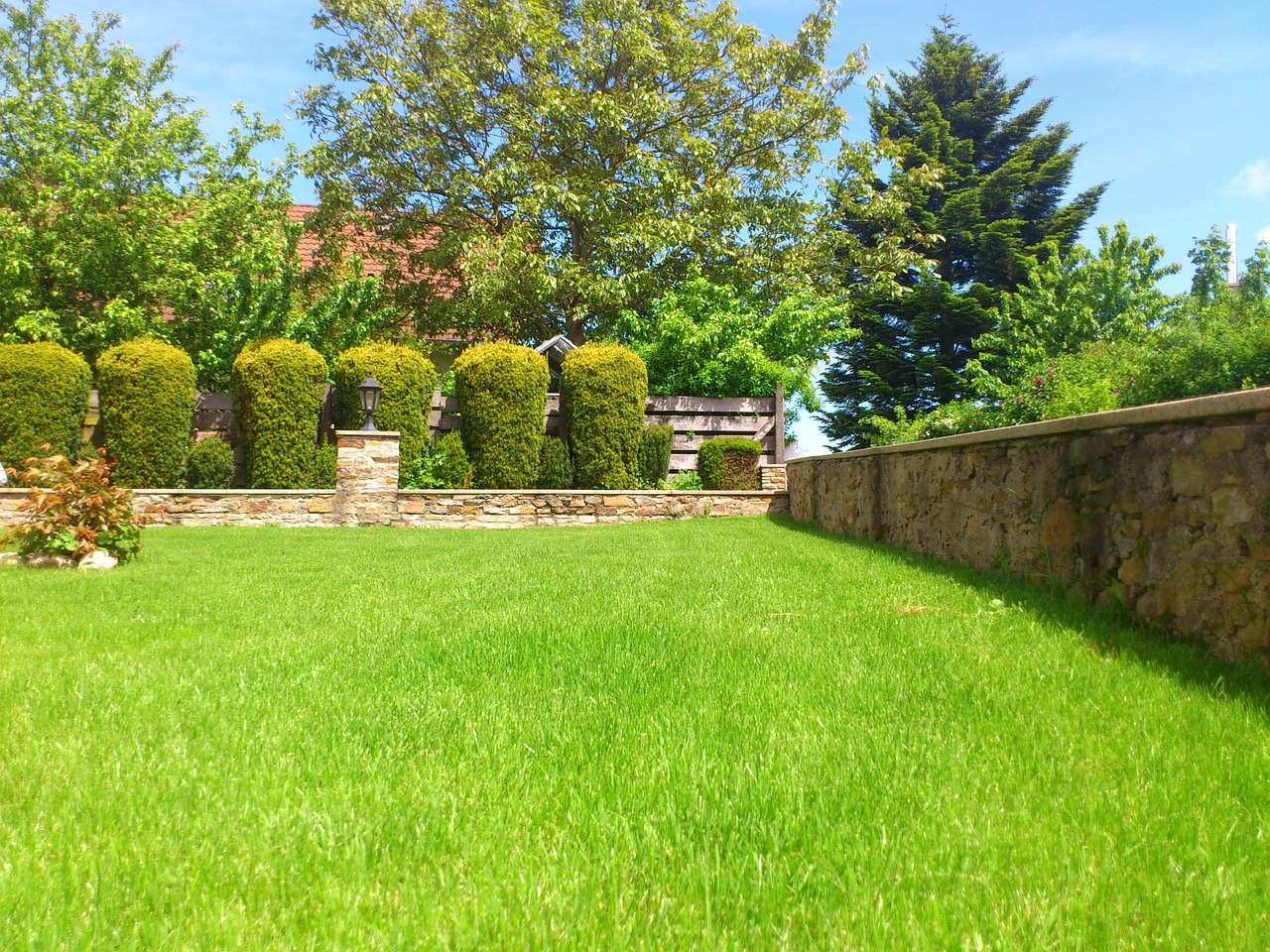 Prato verde rigoglioso in primavera, senza erbacce, con attrezzi da giardinaggio sullo sfondo.