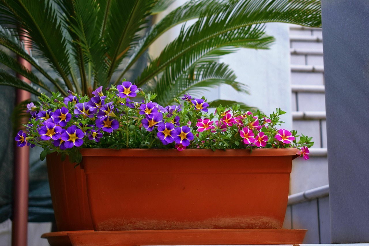 Terrazzo con piante verdi che offrono ombra ideale per l'estate.