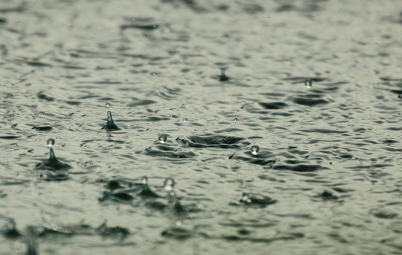 Immagine di un sistema di raccolta acqua piovana con taniche e tubi in un giardino.