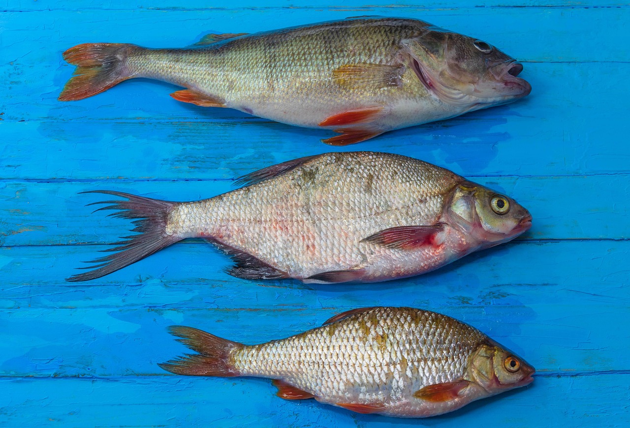 Immagine di un pesce ricco di omega-3, simbolo di salute per il cervello.